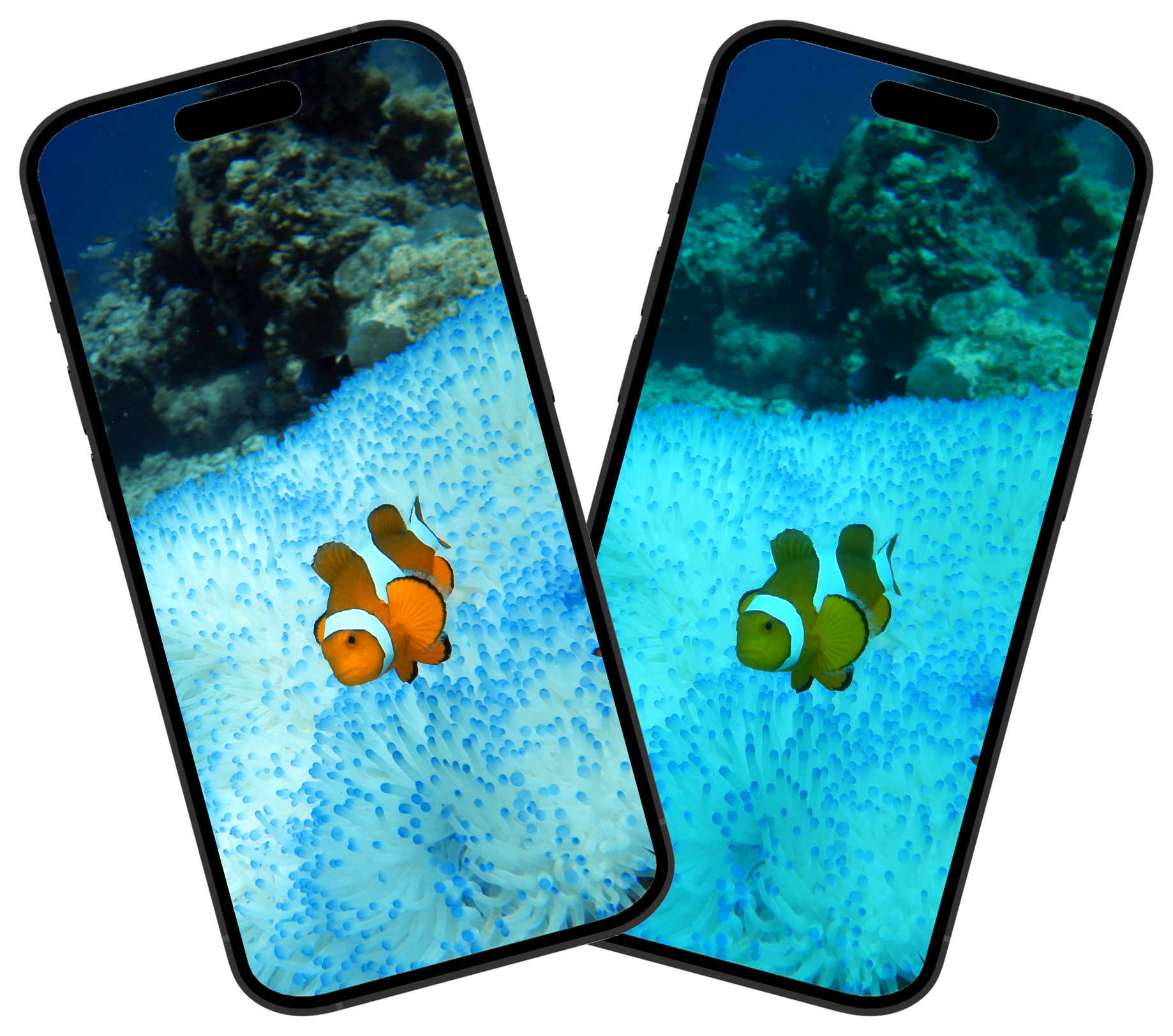 DooFilter Free underwater color correction - demo app 1