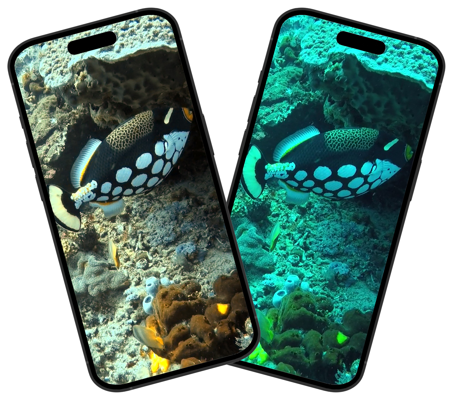 DooFilter Free underwater color correction - demo app 2